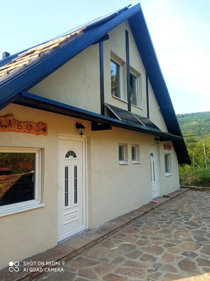 Vila Jezero Pirot Exteriér fotografie