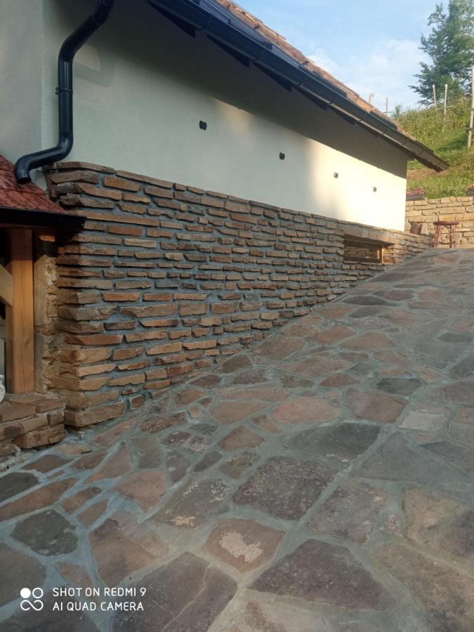 Vila Jezero Pirot Exteriér fotografie