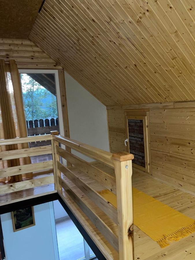Vila Jezero Pirot Exteriér fotografie