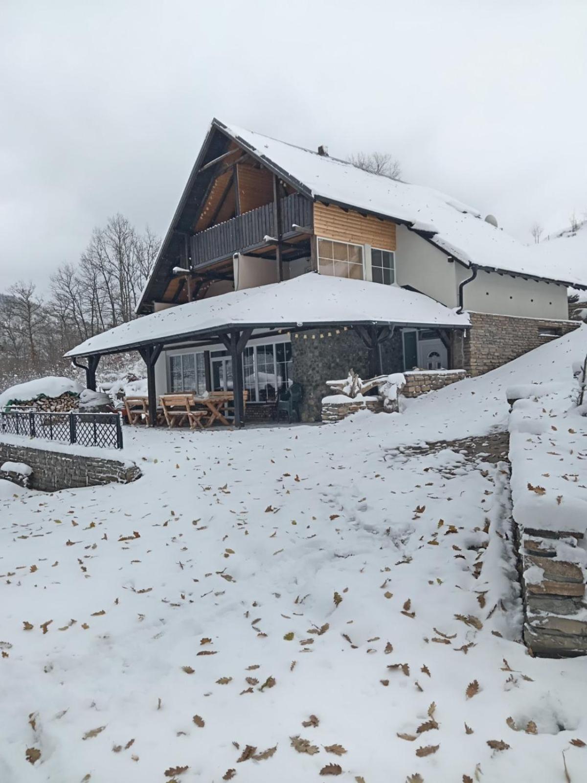 Vila Jezero Pirot Exteriér fotografie